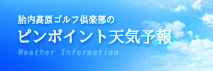 ピンポイント天気