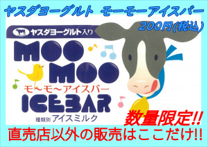 ﾔｽﾀﾞﾖｰｸﾞﾙﾄﾓｰﾓｰｱｲｽﾊﾞｰ